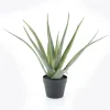 By-Boo Kunstplant Aloë Vera 58cm hoog* Kunstplanten