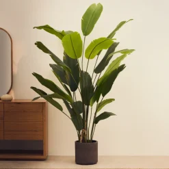 Kave Home Kunstplant Banano, Bananenplant (Musa), 210cm hoog, excl. sierpot* Kunstplanten