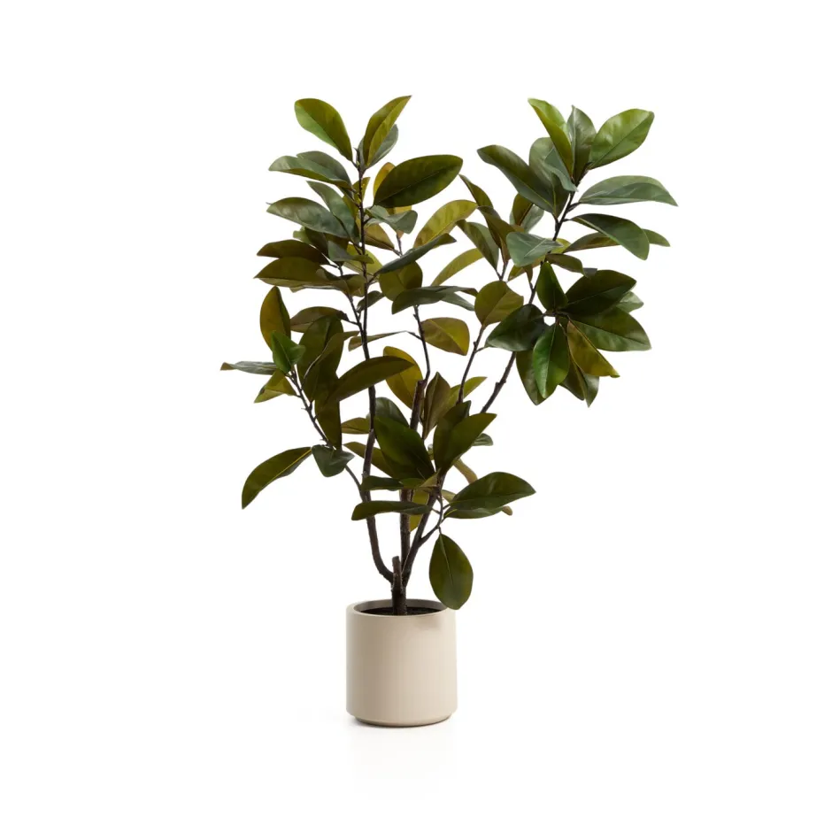 Kave Home Kunstplant Magnolia 160cm* Kunstplanten