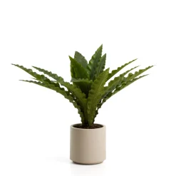 Kave Home Kunstplant Neottopteris 70cm* Kunstplanten