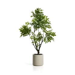Kave Home Kunstplant Rhus Incl. witte pot, 185cm* Kunstplanten