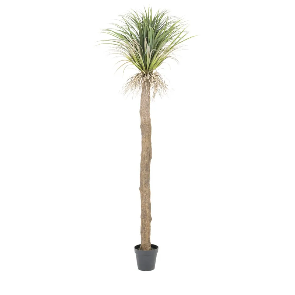 By-Boo Kunstplant Wild Yucca Tree* Kunstplanten