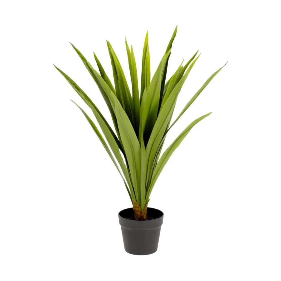 Kave Home Kunstplant Yucca* Kunstplanten