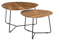 Brix Organische Salontafel Ivy Set van 2 stuks* Salontafel Set|Organische Salontafel