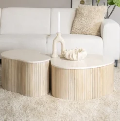 Eleonora Organische Salontafel Kira Mangohout en marmer, Set van 2 stuks* Salontafel Set|Organische Salontafel