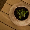 Kave Home Schaal Rivor Terracotta* Potten Voor Buiten|Overige Decoratie