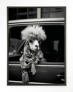 Urban Cotton Wandkleed Alpaca In Taxi in maat en frame naar keuze* Wandkleden