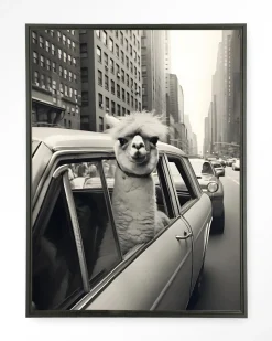 Urban Cotton Wandkleed Alpaca In NY in maat en frame naar keuze* Wandkleden